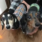 EARL♚﻿LEON - @earleon4271024 - Instagram