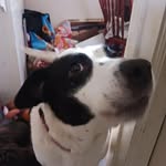 Earl Leventry - @earlleventry - Instagram