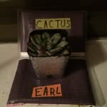Earl (please Like and Comment) - @earl.thecactus - Instagram
