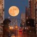 Earl Ling - Facebook