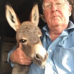 Earl Linn - @linn.earl - Instagram