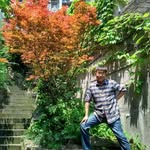 Earl  Lin - @earl.linthrone - Instagram