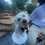 Logan Earl - @loganearl_ - Instagram