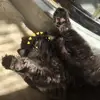 Earl and Luna 😘💞🤩 - @earl.and.luna - TikTok