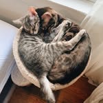luna&earl - @luna_and_earl - Instagram