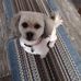 Earl Diane Manley - Facebook