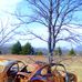 Earl Mann's Bug Shop - Facebook