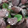 Earl Mast - @earl.mast4 - TikTok