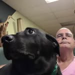 Earl Mayfield - @earl.mayfield - Instagram
