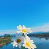 Earl Maynard - @earlmaynard3 - TikTok