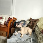 Earl McCaskey - @earlmccaskey - Instagram