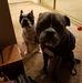 Earle Mccaskey - Facebook