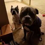 Earle Mccaskey - @earlemccaskey - Instagram