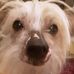 Earl McKee - Facebook