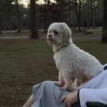 William Earl McKenzie - @maggiespoppy - Instagram