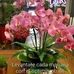 Earl Mead - Facebook