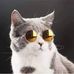 Earl Matz - Facebook