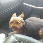 Donald Earl Mobley - @donaldearlmobley - Instagram