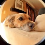 Earl Monday - @grandmabarb55 - Instagram