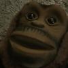 earl_the_monke - @earl_the_monke - TikTok