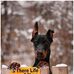 Erle Moorman - Facebook
