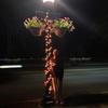 Kevin Earl Morrow - @kevin_earl_morrow - TikTok