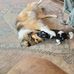 Earl Morse - Facebook
