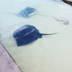 Walter Earl Moses - @waltermoses01 - Instagram