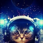 earl - @earl_mullins - Instagram