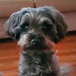Earl Mullins - @earlwmullins - Instagram