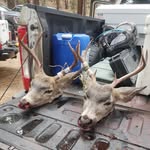 Mahogany Creek Outfitters - @earl_mullis - Instagram