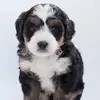 Earlie Nation - @earlie.nation - TikTok