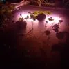 Pearl Nation - @pearl.nation78 - TikTok