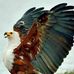 Earl Neff - Facebook