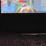 Earl Nesbitt - @earl.nesbitt.7 - Instagram