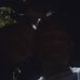 Earl Norman Rodge Naguita - Facebook