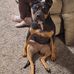 Earl Neal - Facebook