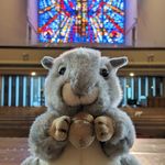 Earl the Squirrel - @nuttyearl - Instagram