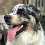 Oakley - @oakley.earl - Instagram