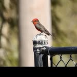@earl_obrienmm - Instagram
