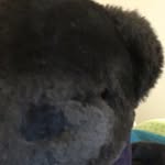 Earl Ochoa Jr. - @ochoajr.earl - Instagram
