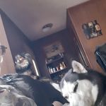 Earl Oliver - @earloliver5566 - Instagram