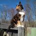 Earl Osborne - Facebook