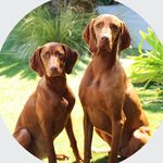 @earl.and.otto - Instagram