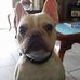 Earl Oxley - Facebook