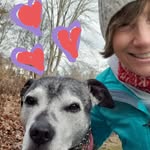 Suzanne Carroll Korn - @earlyamericanpainter - Instagram