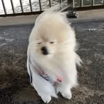 ☁︎ ｡⋆☽˚｡ - @early.peace - Instagram