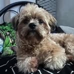 Earl Chua Peck - Facebook