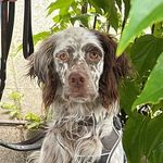 Spencer - @earl_spencer_peters - Instagram