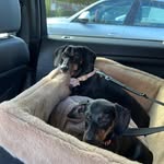 Penny & Nancy - @penny_earl_lasagna_nancy - Instagram